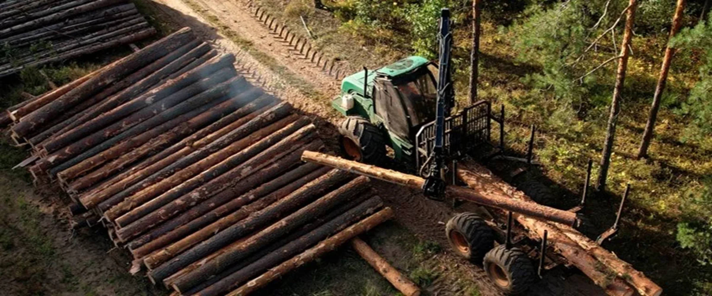 Harvested Timber